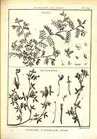  no thumbnail available