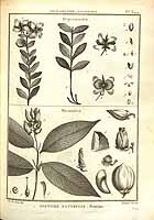  no thumbnail available