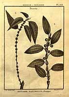  no thumbnail available