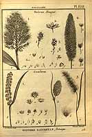  no thumbnail available