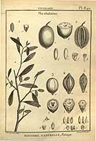  no thumbnail available