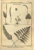  no thumbnail available