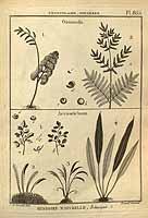  no thumbnail available