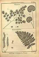  no thumbnail available