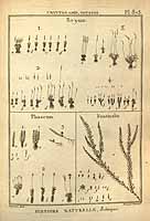  no thumbnail available