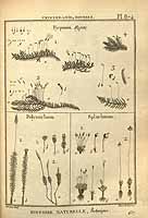  no thumbnail available