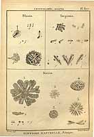  no thumbnail available