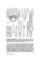  no thumbnail available