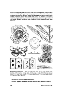  no thumbnail available