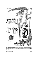  no thumbnail available