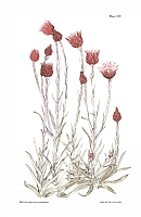  no thumbnail available