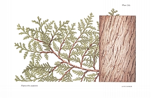  no thumbnail available