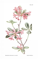  no thumbnail available