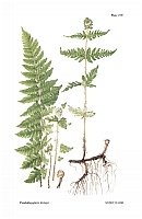  no thumbnail available