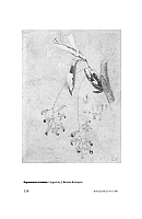  no thumbnail available