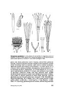  no thumbnail available