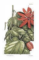  no thumbnail available