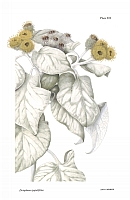  no thumbnail available