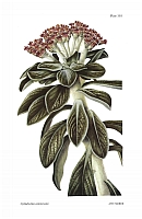  no thumbnail available