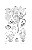  no thumbnail available