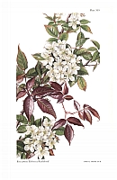  no thumbnail available