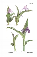  no thumbnail available