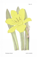  no thumbnail available