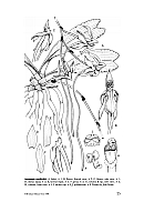  no thumbnail available