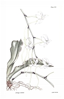  no thumbnail available