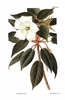  no thumbnail available