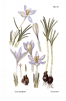  no thumbnail available