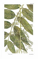  no thumbnail available