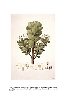  no thumbnail available