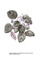  no thumbnail available