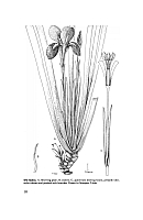  no thumbnail available