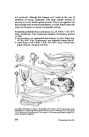  no thumbnail available