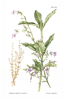  no thumbnail available