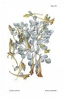  no thumbnail available