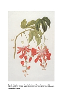  no thumbnail available