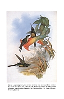  no thumbnail available