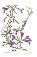  no thumbnail available