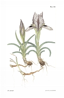  no thumbnail available