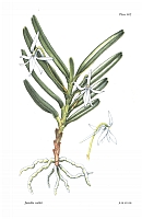  no thumbnail available