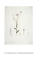  no thumbnail available