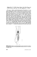  no thumbnail available