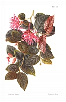  no thumbnail available