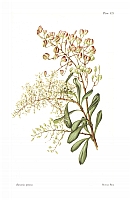  no thumbnail available