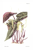  no thumbnail available