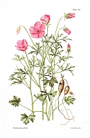  no thumbnail available