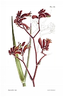  no thumbnail available